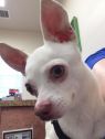 . Paco .