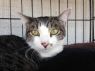 . Maggie (bonded to Wheeler) .