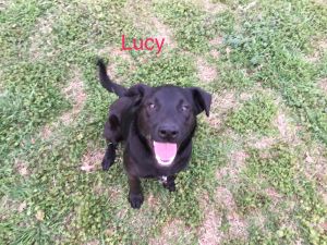 . Lucy .