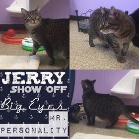 . Jerry .