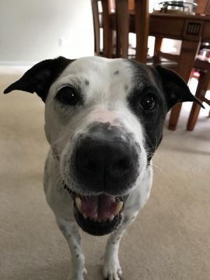 . Petey Rascal .