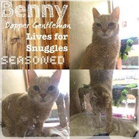 . Benny .