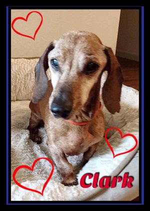 . Clark .