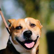 . Benson .