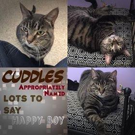 . Cuddles .
