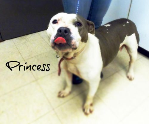 . Princess .