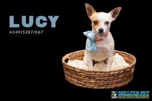 . Lucy .