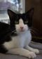 . Murphy -Bonded with Chaz .