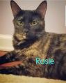 Rosie