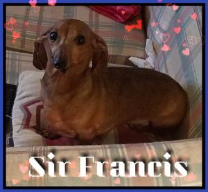 . Sir Francis .