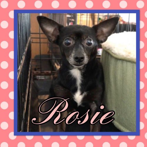 . Rosie .