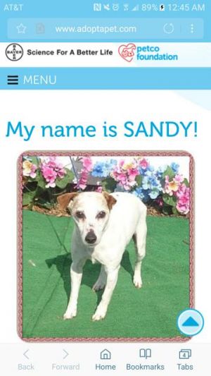 . Sandy/GA .