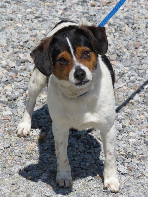 . Slugger: Adopted! .