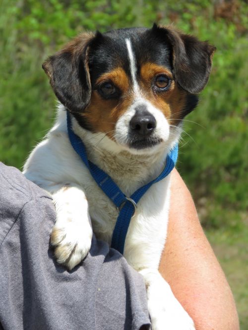 . Slugger: Adopted! .