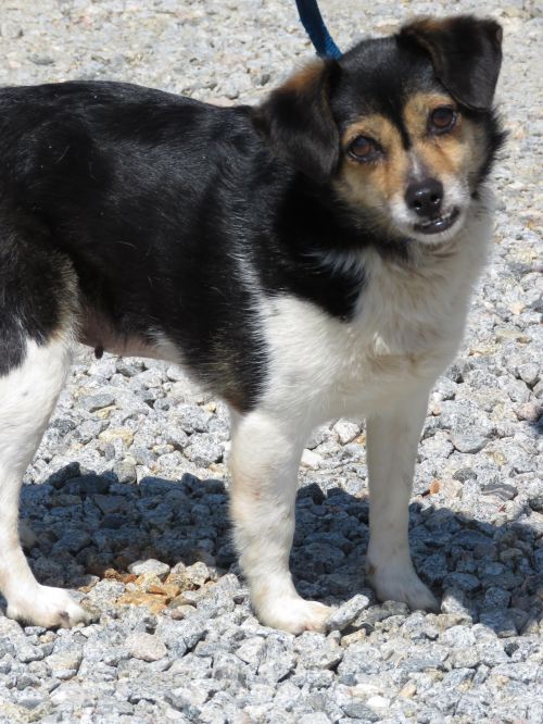 . Sweet Spot: Adopted! .