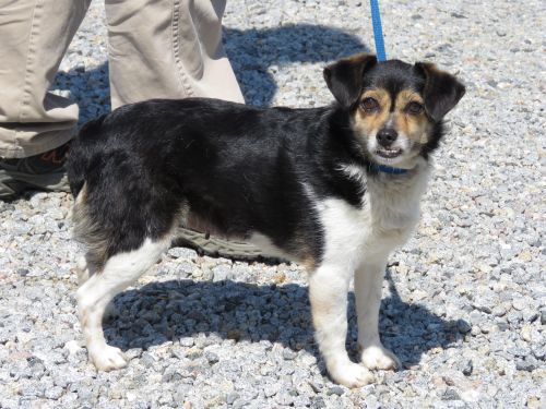 . Sweet Spot: Adopted! .
