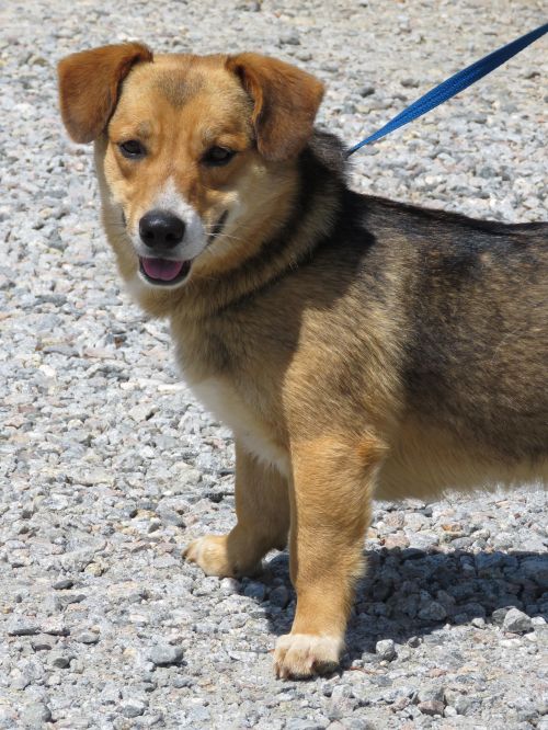 . Bryce: Adopted! .