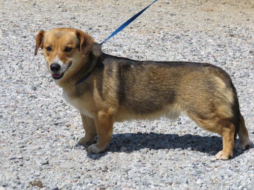. Bryce: Adopted! .