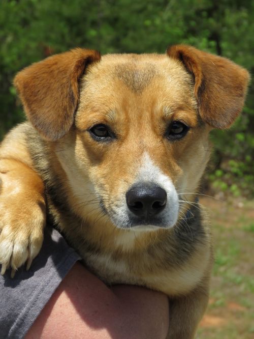 . Bryce: Adopted! .