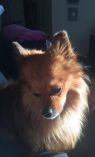 . Tony aka Teddy .