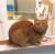 . Myla (and bonded