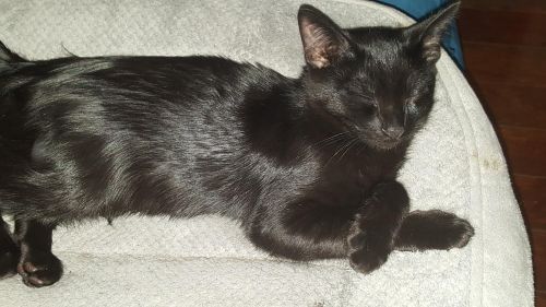 . Cookie - URGENT!!!! .
