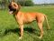 . Tessie 5324 .