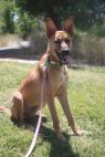 . Bodie .