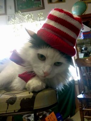 . Dr. Suess .