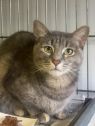 . Lulu-I am as pretty as can be! .