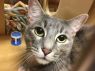 . Lulu-I am as pretty as can be! .