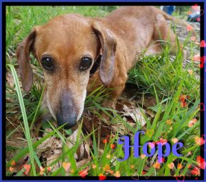 . Hope .
