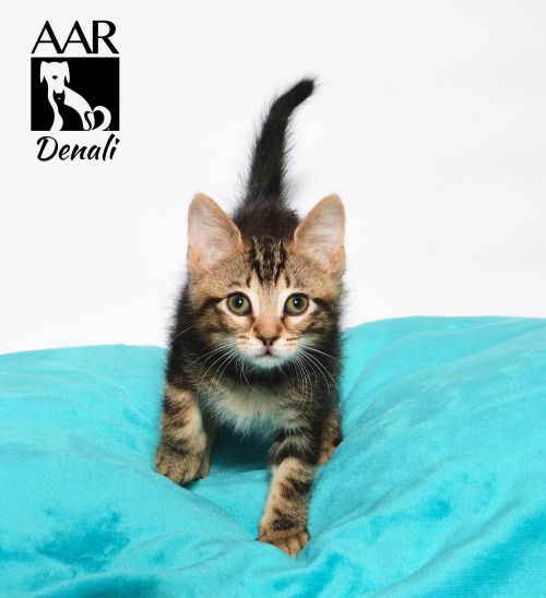 . Denali .
