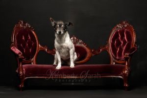Photo of Chloe In Nh