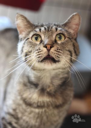 . Tom .
