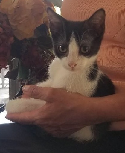 . Max .