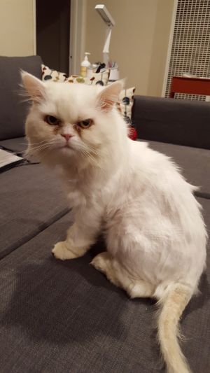 . Casper .