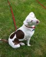 . Roxy Roo .