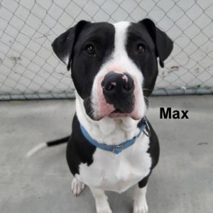 . Max .