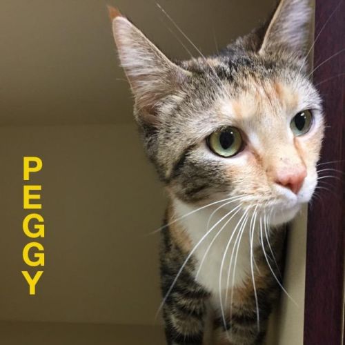 . Peggy .