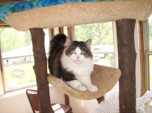 . Ms. Tuxie .