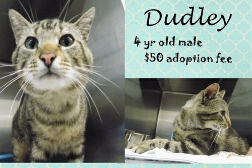. Dudley .