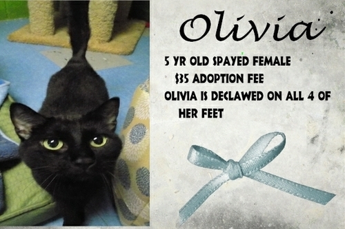 . Olivia .
