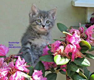 . Marlena .