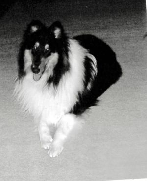 . Rufus .