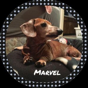. Marvel .