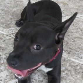 . Abbie! .
