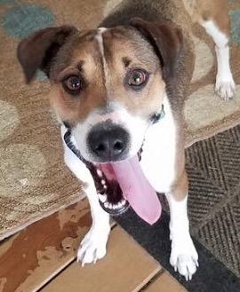 . Max .