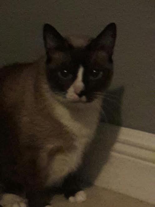 . Coco .