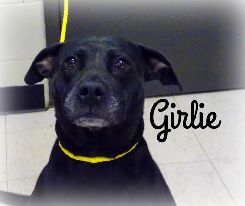 . Girlie .